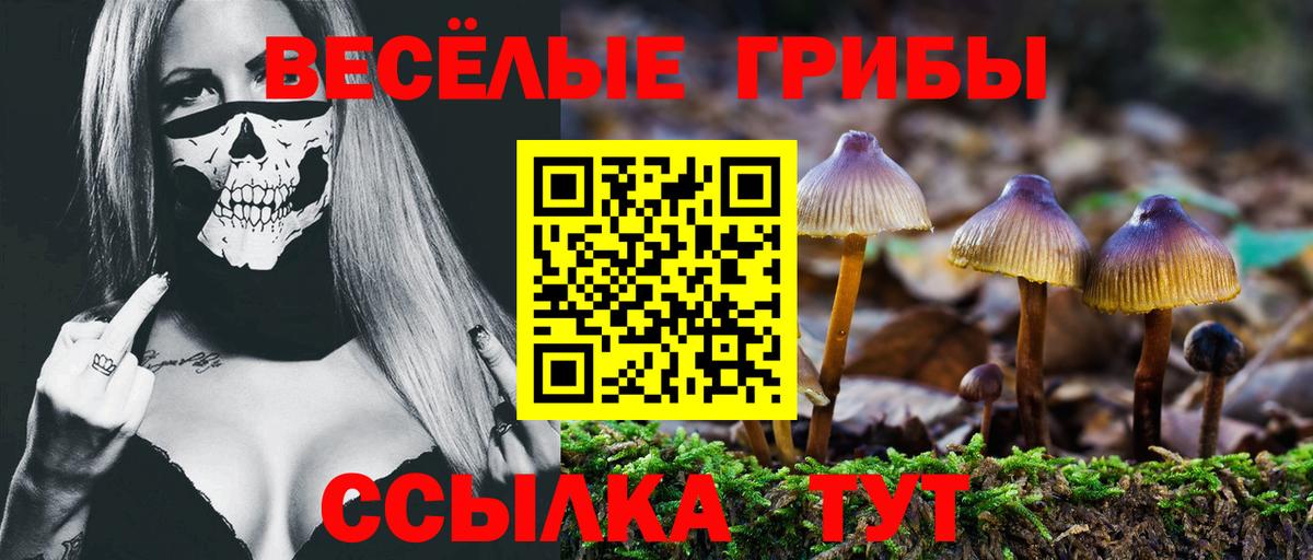 Галлюциногенные грибы GOLDEN TEACHER  Псилоцибиновые грибы Psilocybe  Вход с VPN  Пугачёв 
