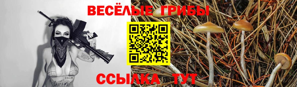 Псилоцибиновые грибы мицелий Пугачёв